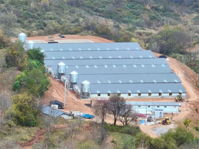 天水市清水縣草川鋪鎮(zhèn):聚力&ldquo;五個(gè)聚焦&rdquo; 助力村集體經(jīng)濟(jì)發(fā)展提質(zhì)增效