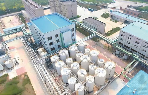 高青 以工業(yè)技改驅(qū)動引擎，加速企業(yè)轉(zhuǎn)型升級與高質(zhì)量發(fā)展